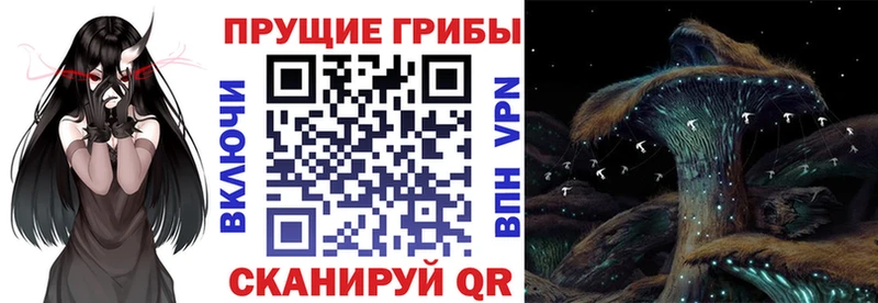 цены наркотик Арзамас Псилоцибиновые грибы Magic Shrooms